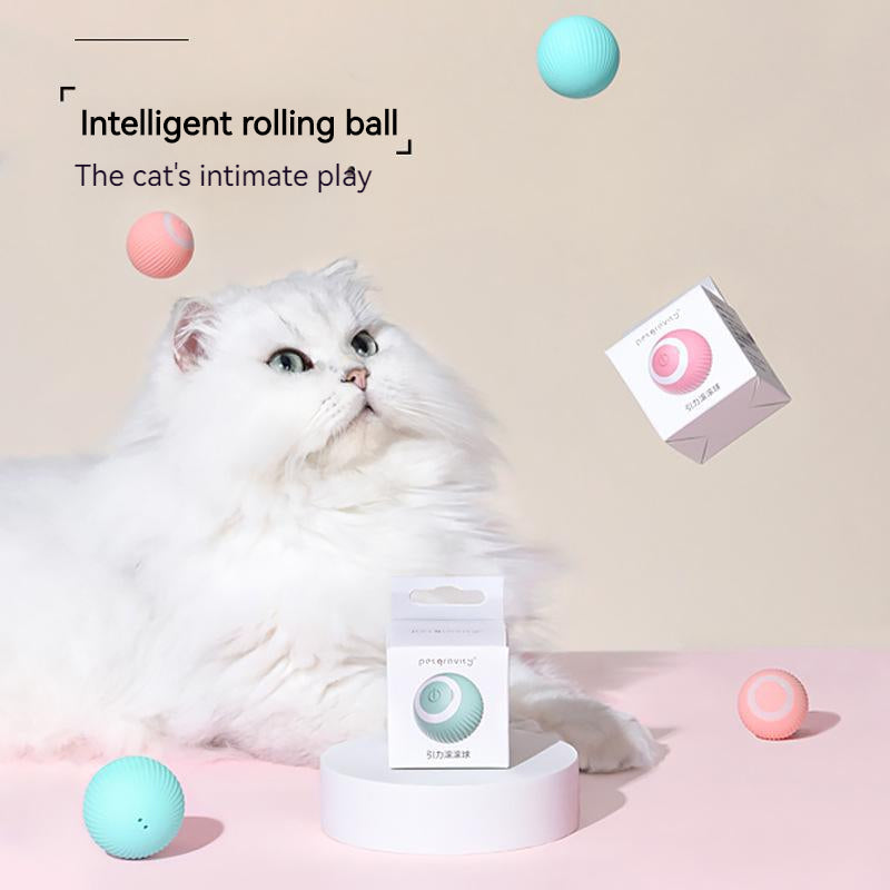 Purrfect Playtime - by My Store - woo_import_1