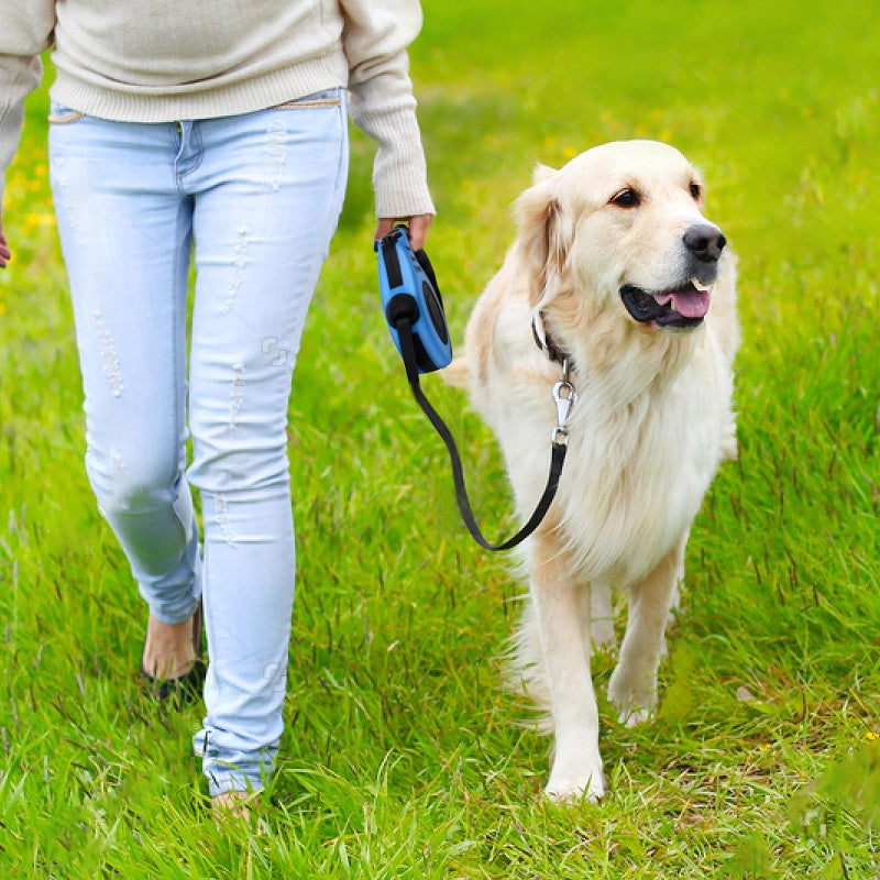 FlexiPaws Automatic Pet Leash